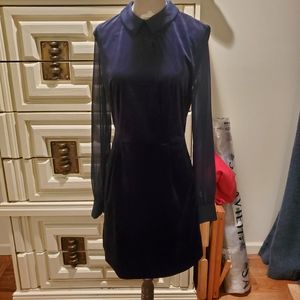 Ted Baker Dress